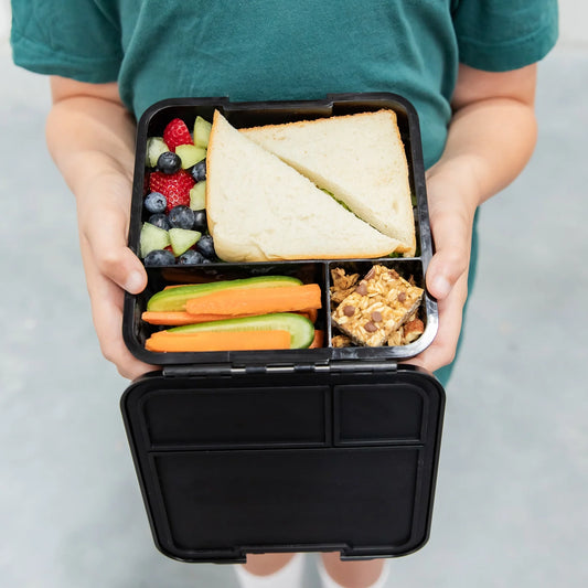 Bento Three - Dinosaur Land