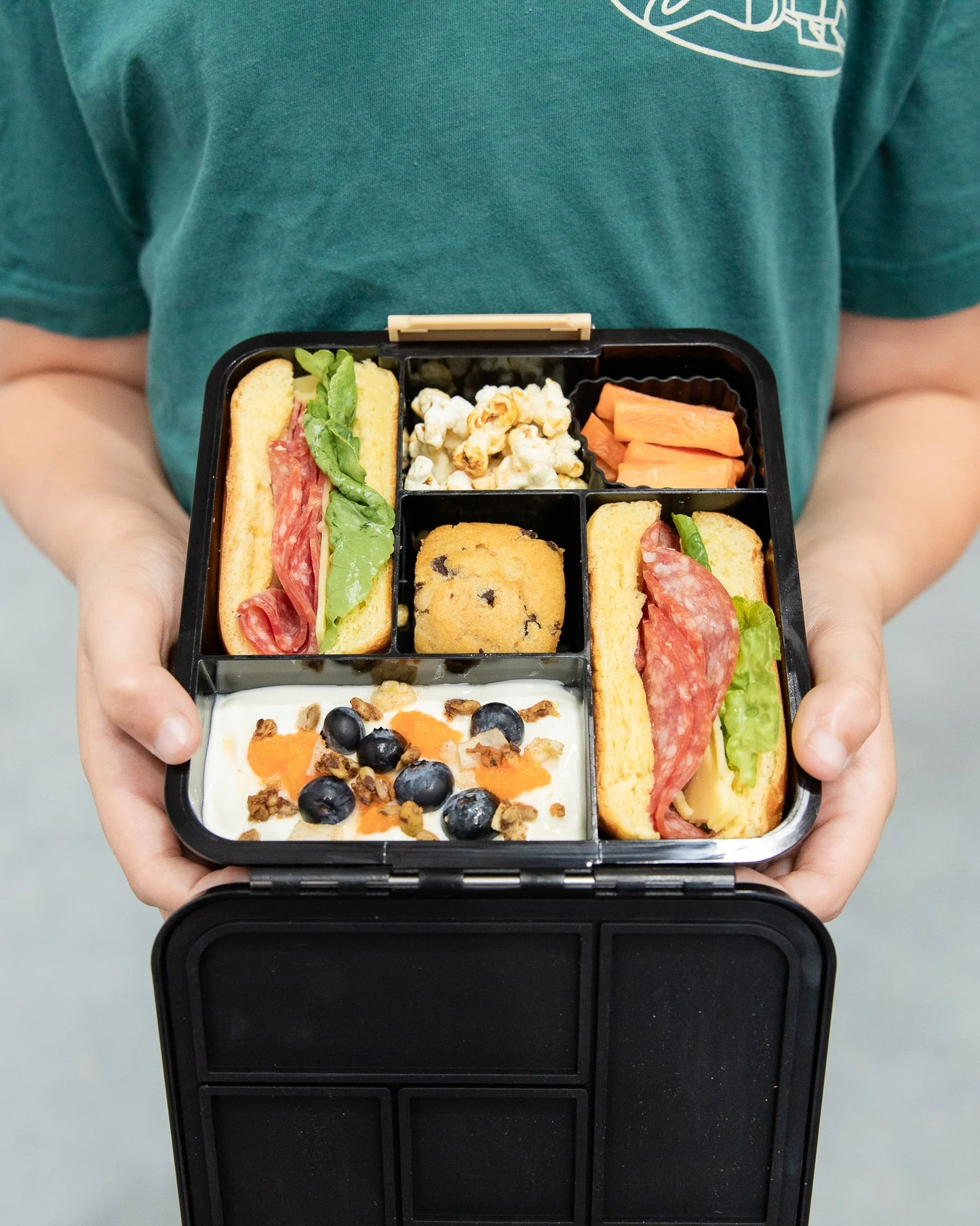 Bento Five - Dinosaur Land