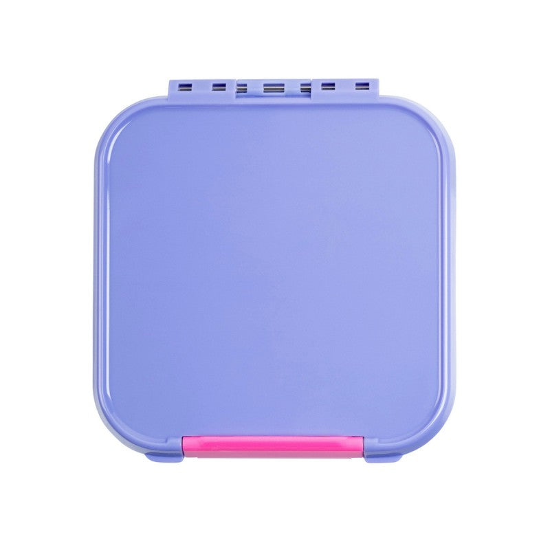 Bento Two - Grape