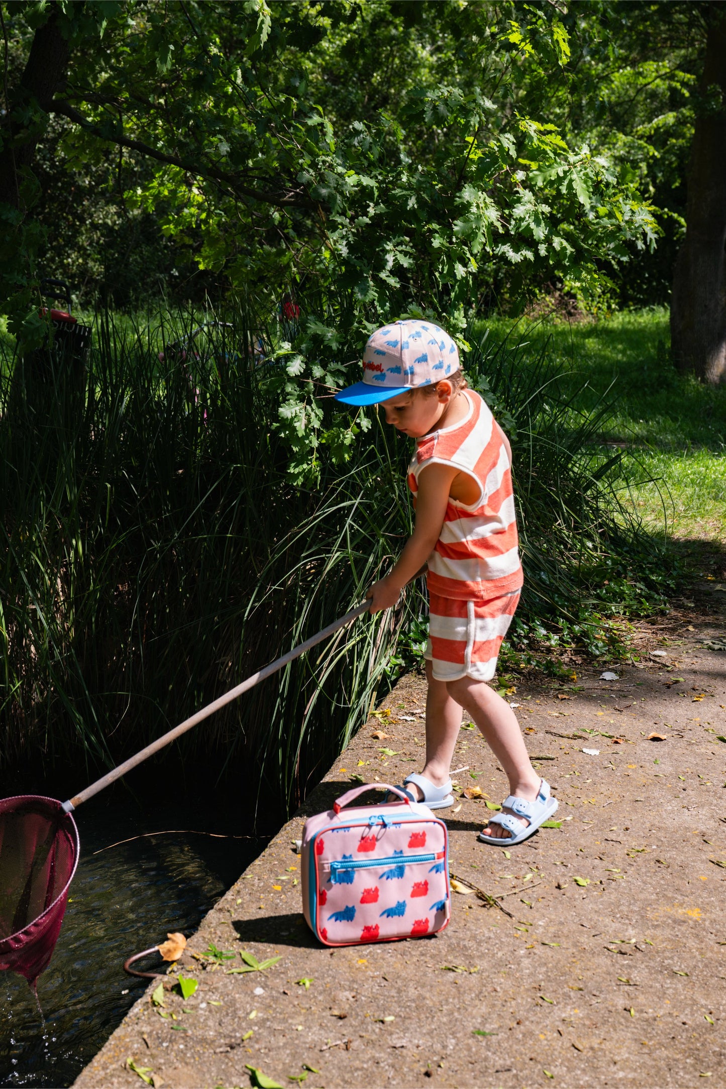 The Cotton Cloud - Meowtiful Cats