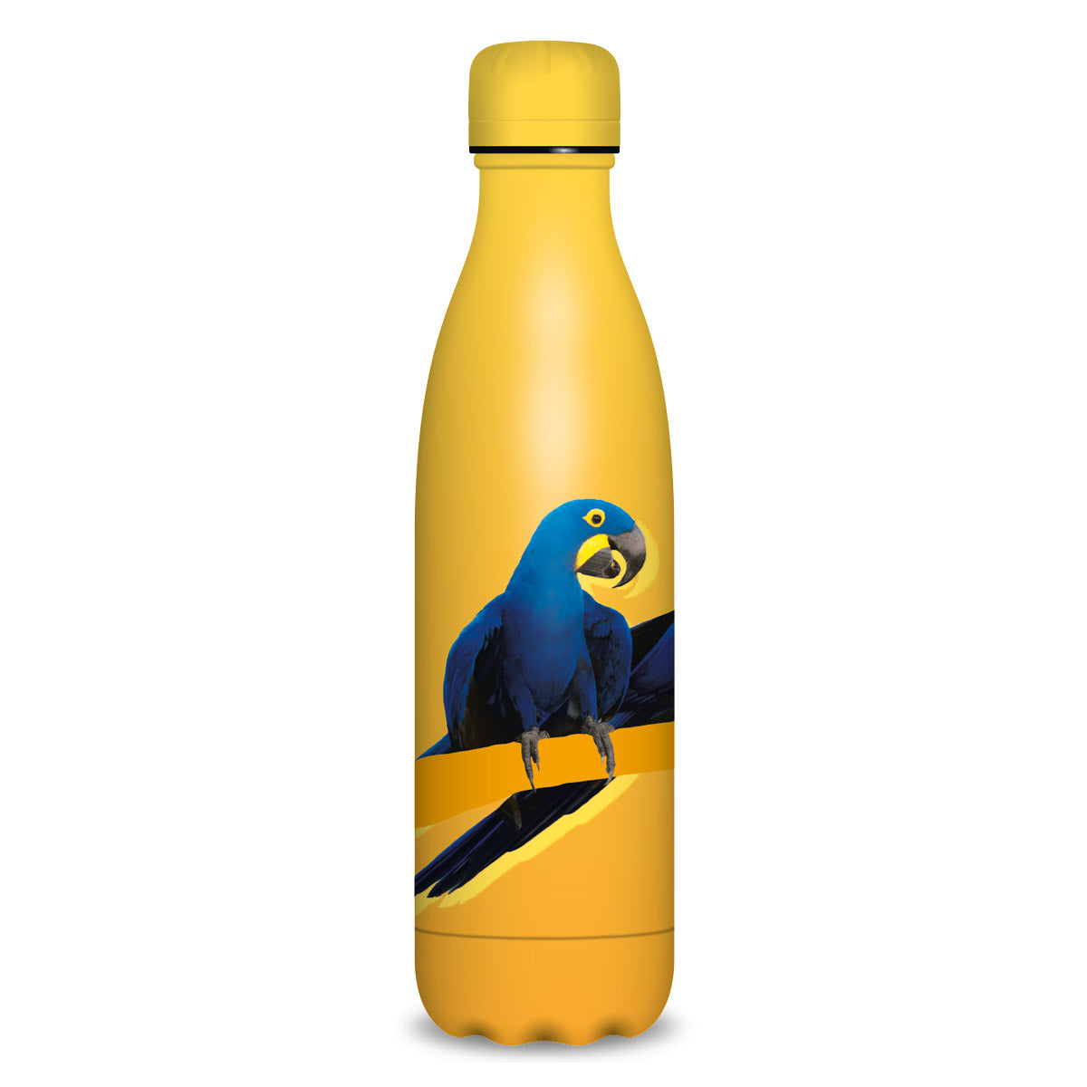 Sticlă metalică cu pereți dubli Ars Una - 500 ml (asortate)