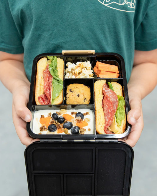 Bento Five - Dinosaur Land