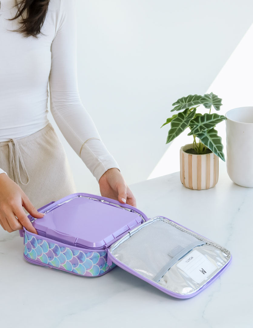 Bento Three Plus - Dusk