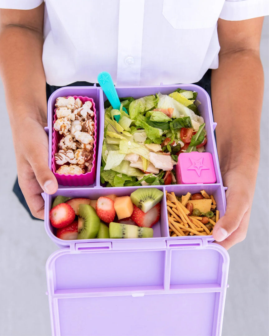 Bento Three Plus - Dusk